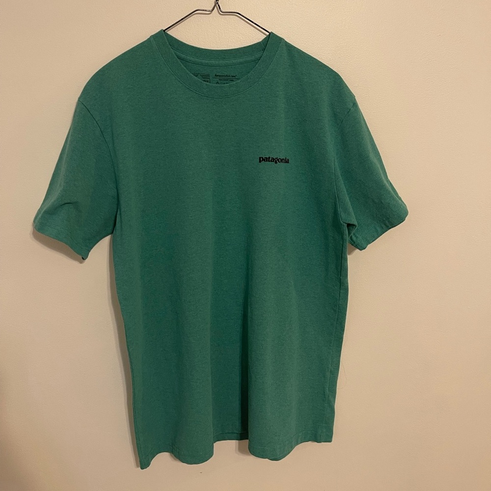 Patagonia tshirt